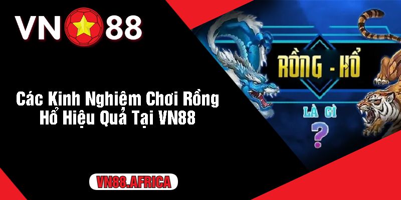 Các Kinh Nghiệm Chơi Rồng Hổ Hiệu Quả Tại VN88