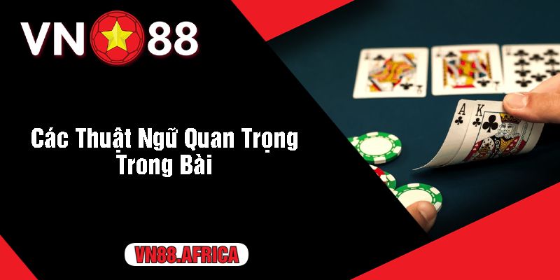 Các Thuật Ngữ Quan Trọng Trong Bài