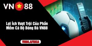 Lợi Ích Vượt Trội Của Phần Mềm Cá Độ Bóng Đá VN88